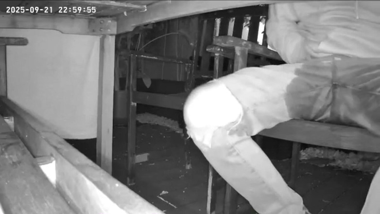 AmateurBoysPissing: Chico Amateur Atrapado En La Cámara De Visión Nocturna Sentado...
