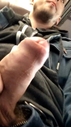 Sexy possum: Szarpanie Amtrak