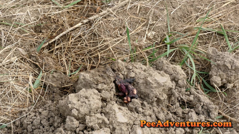 Pee Adventures: Pisse sur un muscle de fourmis énorme volume