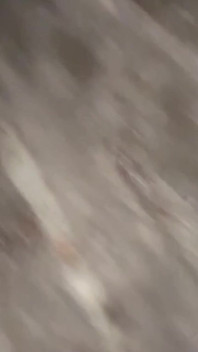 Slave Exposed Outside