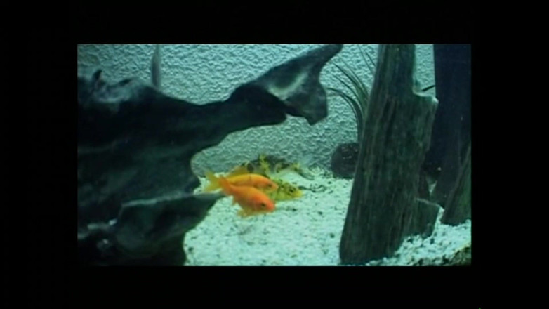 MUSCHI TV - our best full movie: Sie War Zufrieden, Als Sie Eine Doppelpenetration Mit Einem Harten...
