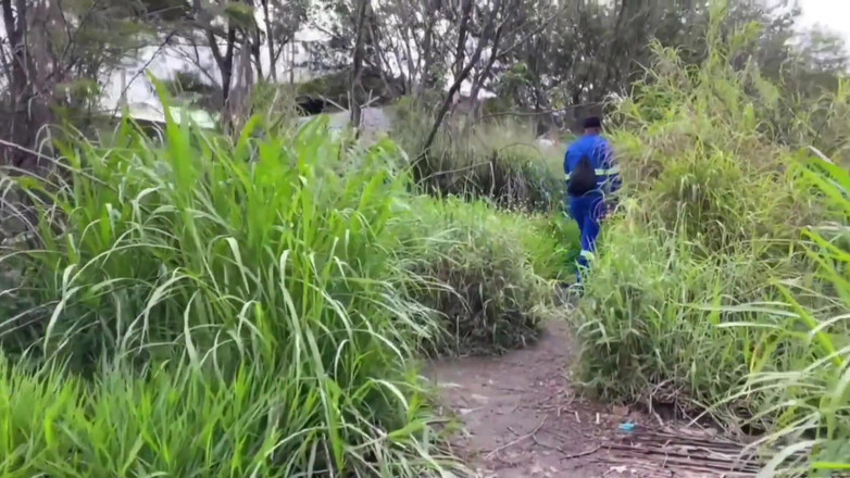 TheBlacKHunterr: Рабочий проходил мимо парка и получил