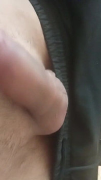 Penis
