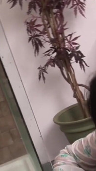 Dolce ragazza si fa scopare la figa in bagno