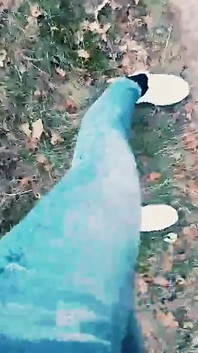 Slutboyben cam4 сексуальна порнозірка ексгібіціоністка збуджена, оголюючи великий член повії в районі круїзу am stern berlin a115