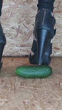 Destruye el pepino