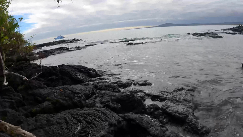 Jade Kink: Cewek amatir ini nyepong kontol dan dicrot di muka di...