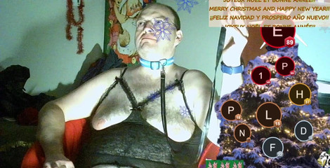 Caressonnous: Pequeña hembra mascota 1