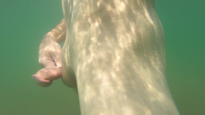 Cool Body: मैं सिर्फ मुफ्त महसूस करने की खुशी के लिए वीर्य निकालता हूं, सार्वजनिक समुद्र तट पर नग्न।