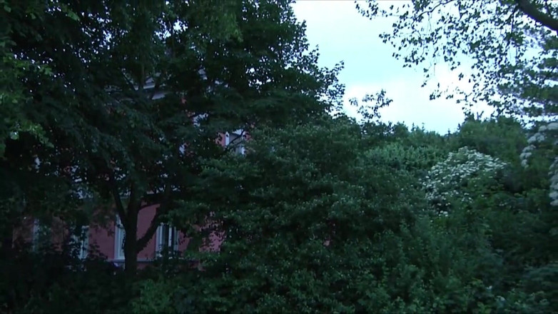 Muschi movie official: Le Bénévole En Physiothérapie