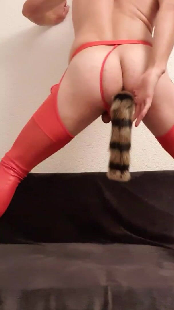 Timmyboy: Plug Fox Tail no meu cu