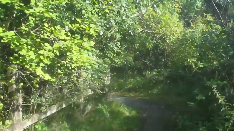 Movies by Louise: Bridge over the river taff