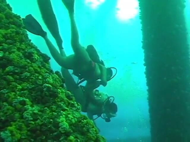 Homegrown Ebony: Mickaela and lars do underwater hardcore