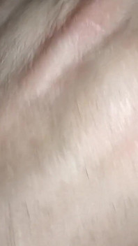 My Sweet Pussy Part.1