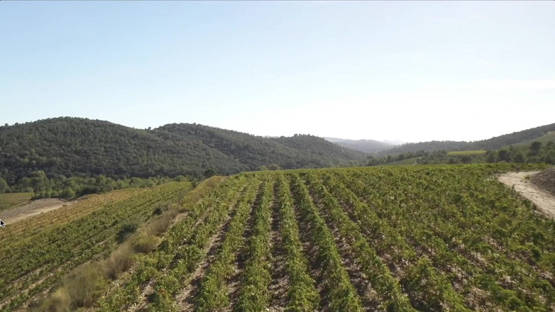 Jet sex prod: Parthouze in the Var Vineyards