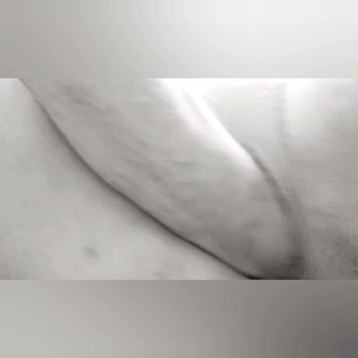 Misses Dickinson and Roughael: Подборка моей жены и меня