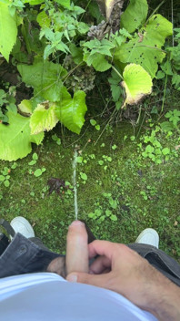 Golden Stream: Peeing in Paradise