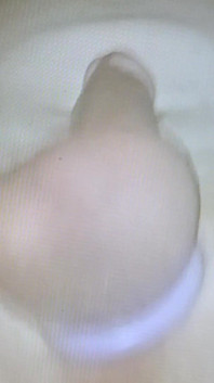 Slo-mo Dildo Poppin