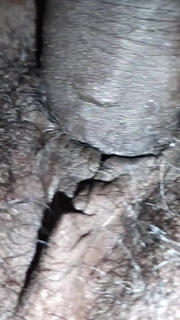 Sexlife: Par Min fru nattetid sex