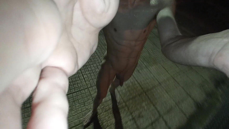 Dan Eagle: Piss sprchování Venku