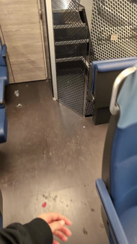 Pissing and Squirting in a Busy Train During the Day