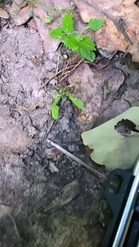 Een stomme brunette heeft een fiets kapot gemaakt in het bos en met een poes voor reparaties betaald! Geneukt doggystyle