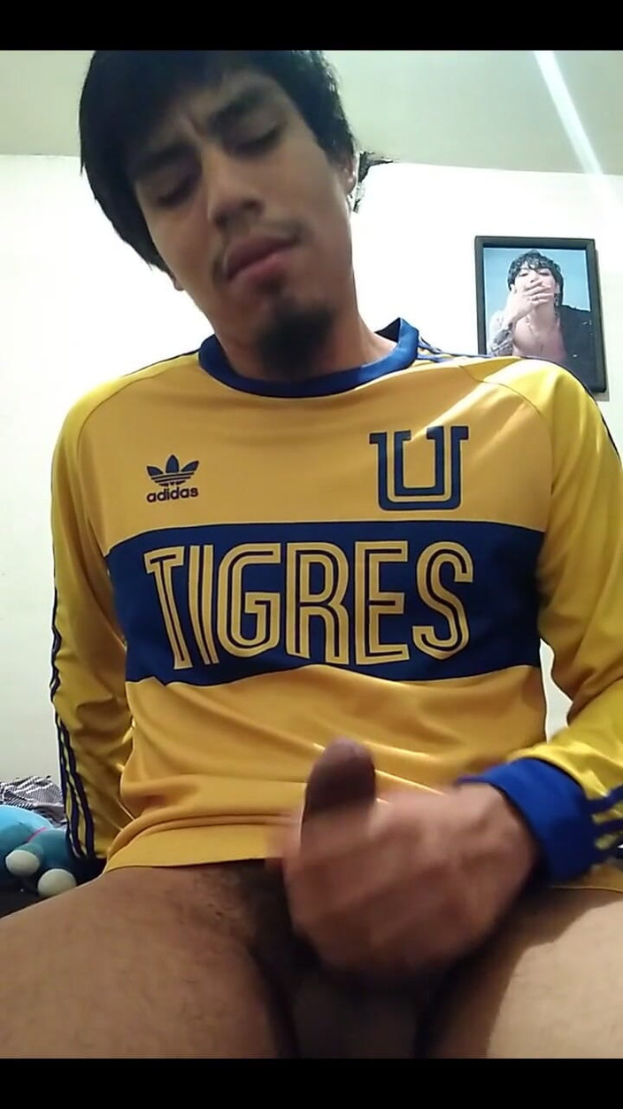 AlexAlejandro13: Давай, Тигри, я повертаюся багатим.