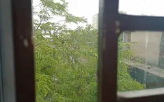 Bengalli ateşli yıldız Tina otel odasında mastürbasyon yapıyor