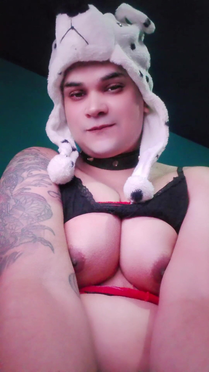 Sissy sapeca studio: A Feminine Femboy with Large Breasts