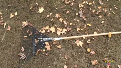 Shagging Stepmoms: Dvě blonďaté dračice s falešnými kozami mají své zadky vrtané...