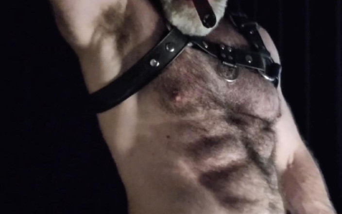 Jack van Dean: Hairy Muscle Leather Stepdaddy Showing off