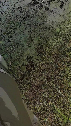 Slutboyben: Slutboyben cam4 - exposição de observador brainfukked