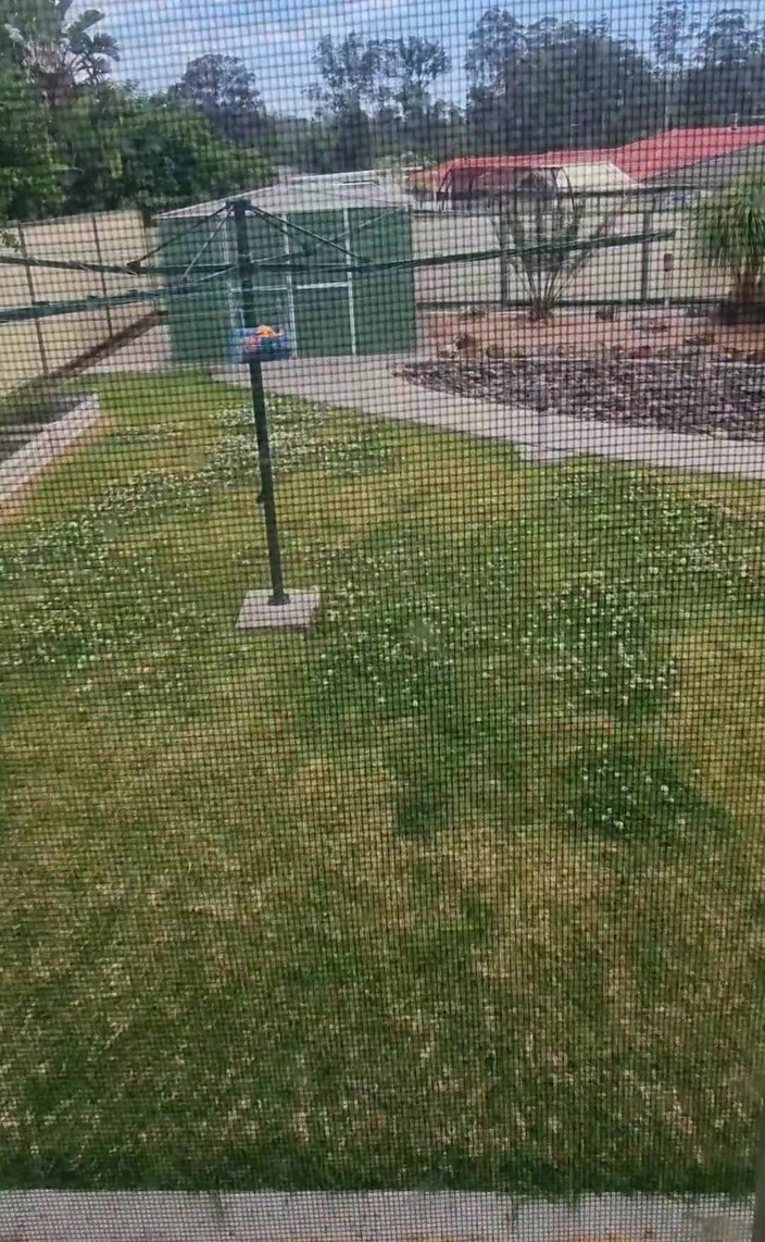 yogiyumyum: Polla bombeada