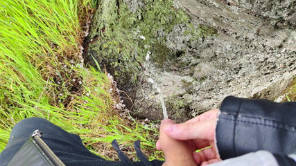 Bayer911: Oak द्वारा पाई