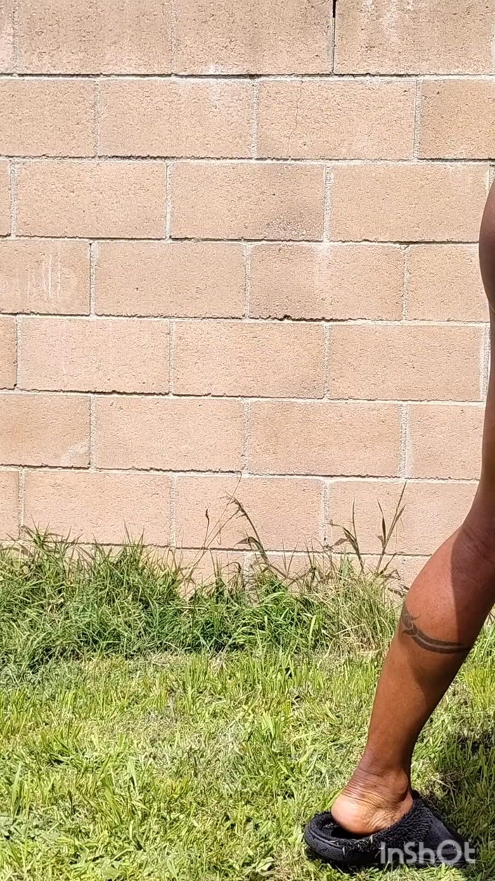 Batbunz: Flagra uma porca no quintal novamente