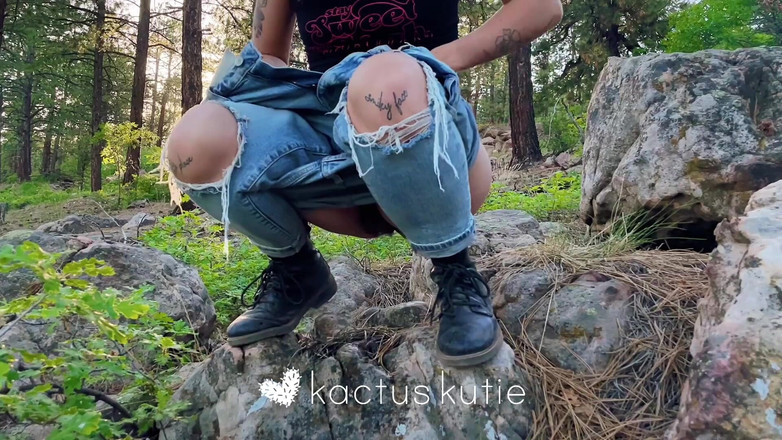 kactus kutie: Rakaman dekat Matahari Terbenam Dengan Bonni