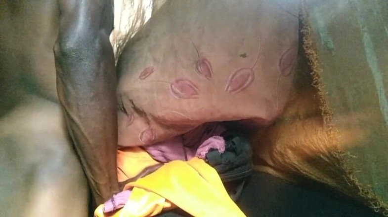Bangcum8: Kluk šuká zdarma kundičku a sperma velmi dobré