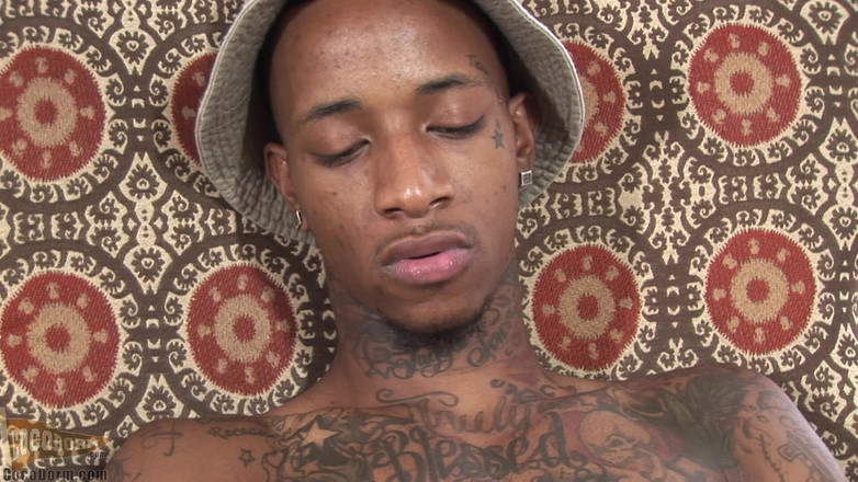 CocoDorm: Taethedoug