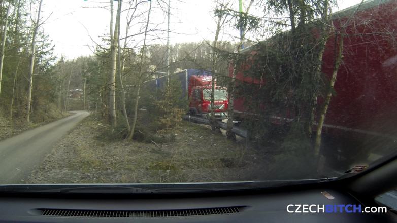 Czech Bitch: Çek kaltak 12: kızıl amcık