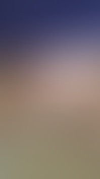 Close-up of a Dick on a Stream with Toys