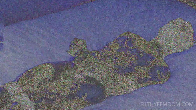 FilthyFemdom: Caresse ta petite bite moche et regarde-moi venir avec bébé...