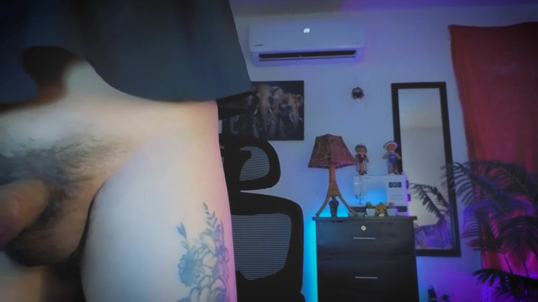 Kimberly Polizzi: Stream 4 dicembre 2025 Kim