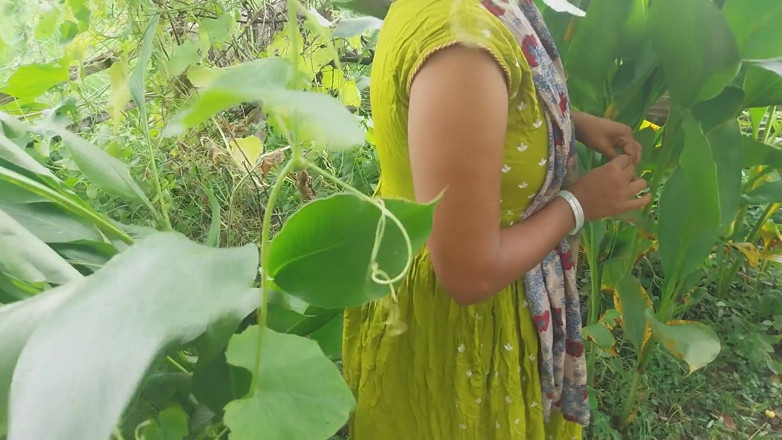 Pooja raniji: Kebun hutan India di dekat kebun rumahku di luar ruangan,...