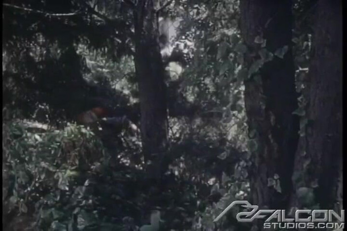Falcon Studios: Taken