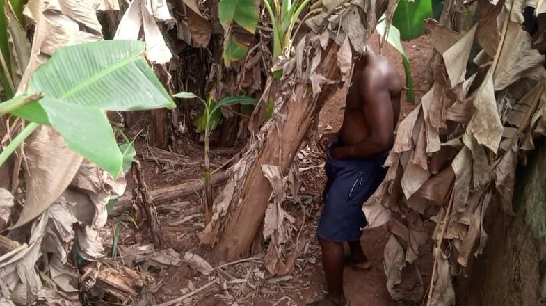 Moviesporn1: O dia dos namorados tem coleira uma plantain mais buraco...