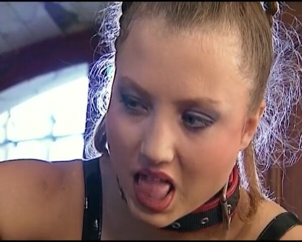 Deutsche Damen: Kinky German Bitches Getting Asses Drilled in Hot Orgy