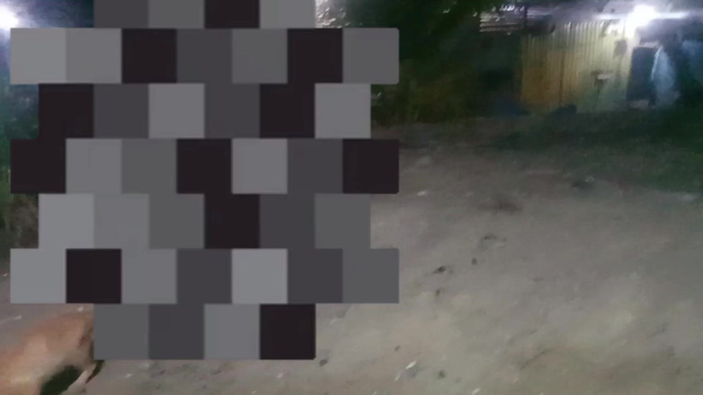 Citra: Ibu mertua menjemput saya untuk menunjukkan payudara besarnya di luar...