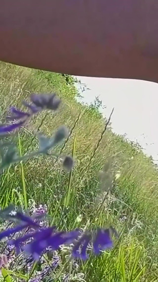 Thumbnail of Sexy Amateur MILF Butt Plug in Asshole and Pissing in Nature