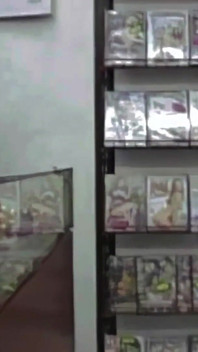 Na Sex Shop, Para Comprar Um Dvd Pornô, Ele Transa Com a Vendedora