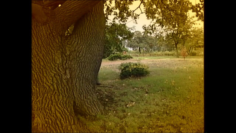 MMV films - The Original: Giovani ragazze calde con grandi tette naturali vengono sottomesse da...